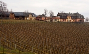Le domaine du Windsbuehl