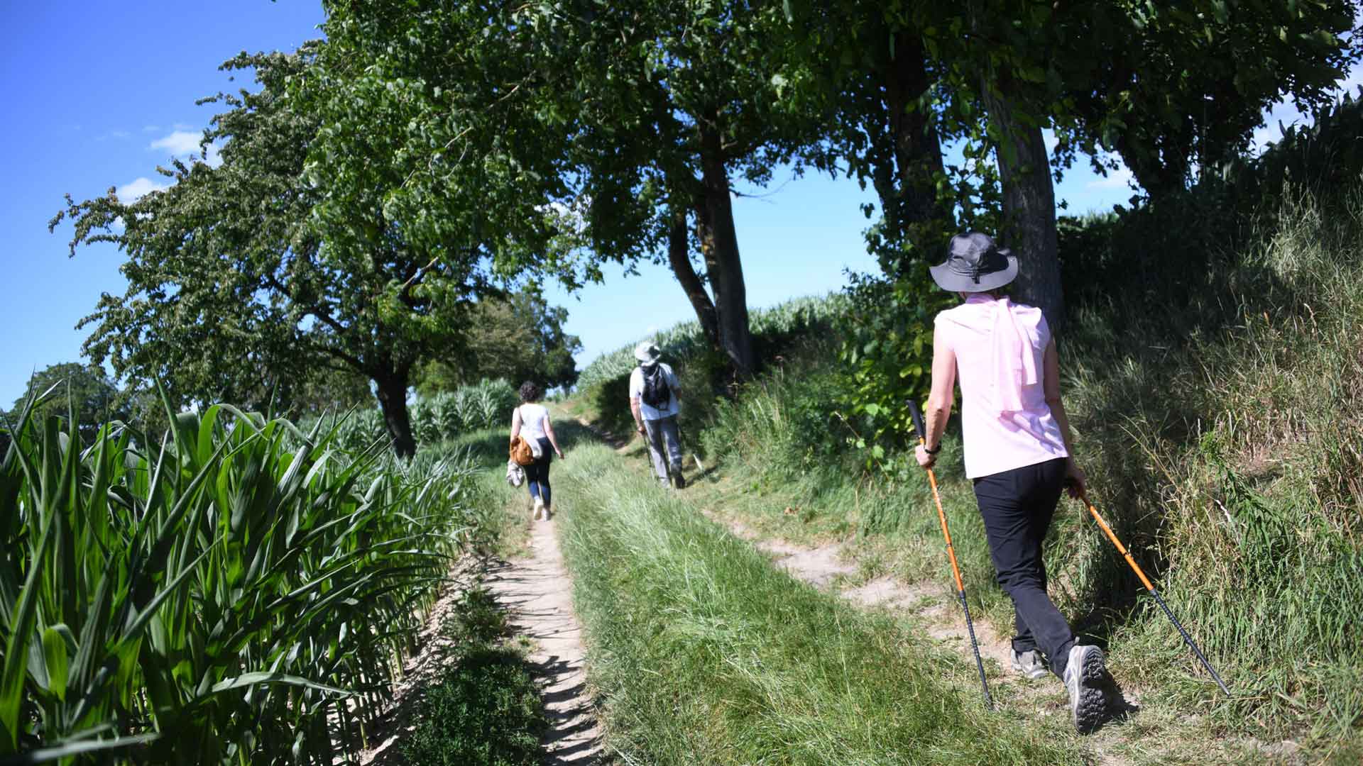 a-la-decouverte-des-sentiers-pedestres-avec-le-club-vosgien-mulhouse-cretes1