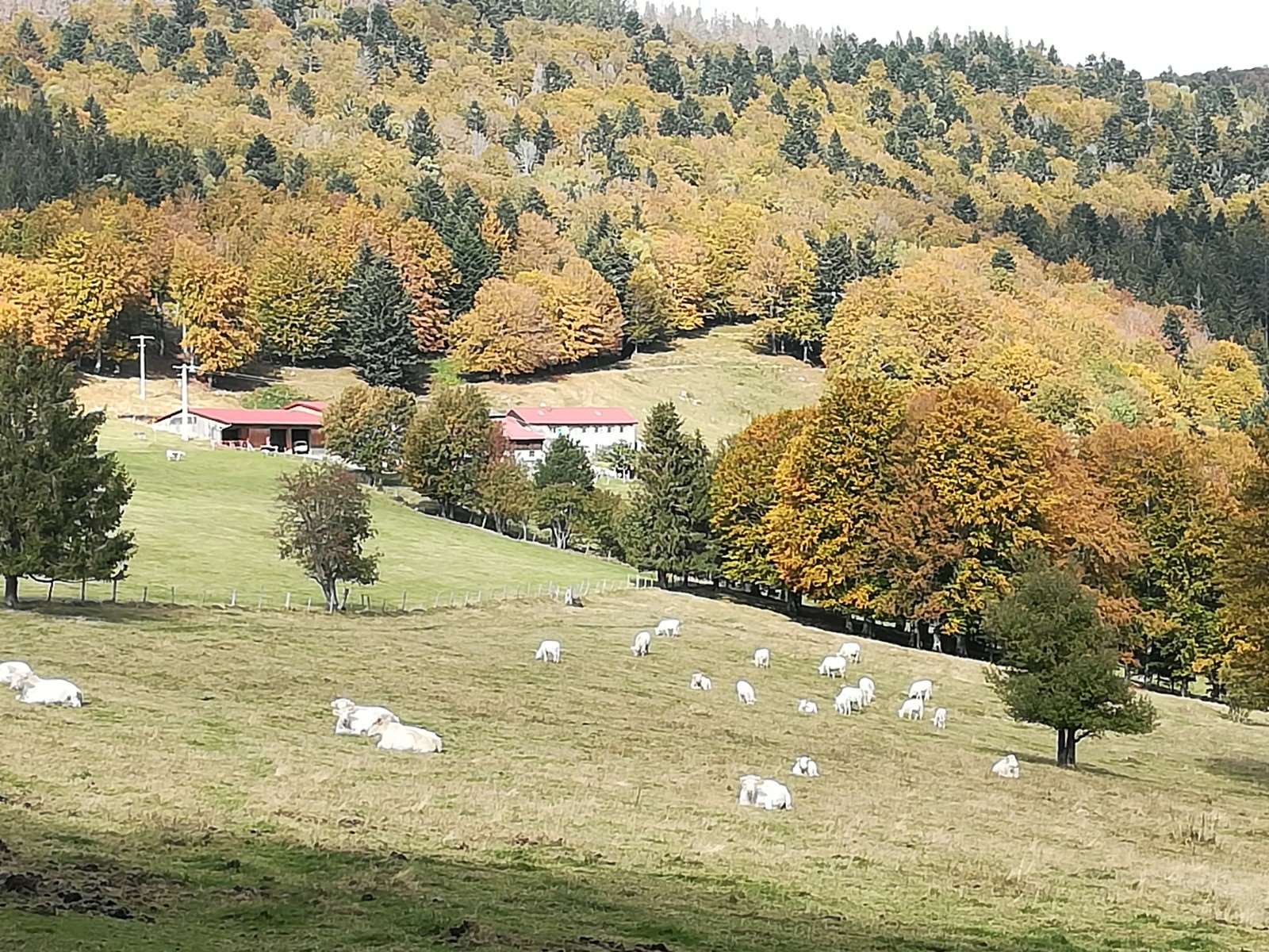 On arrive au Gresson