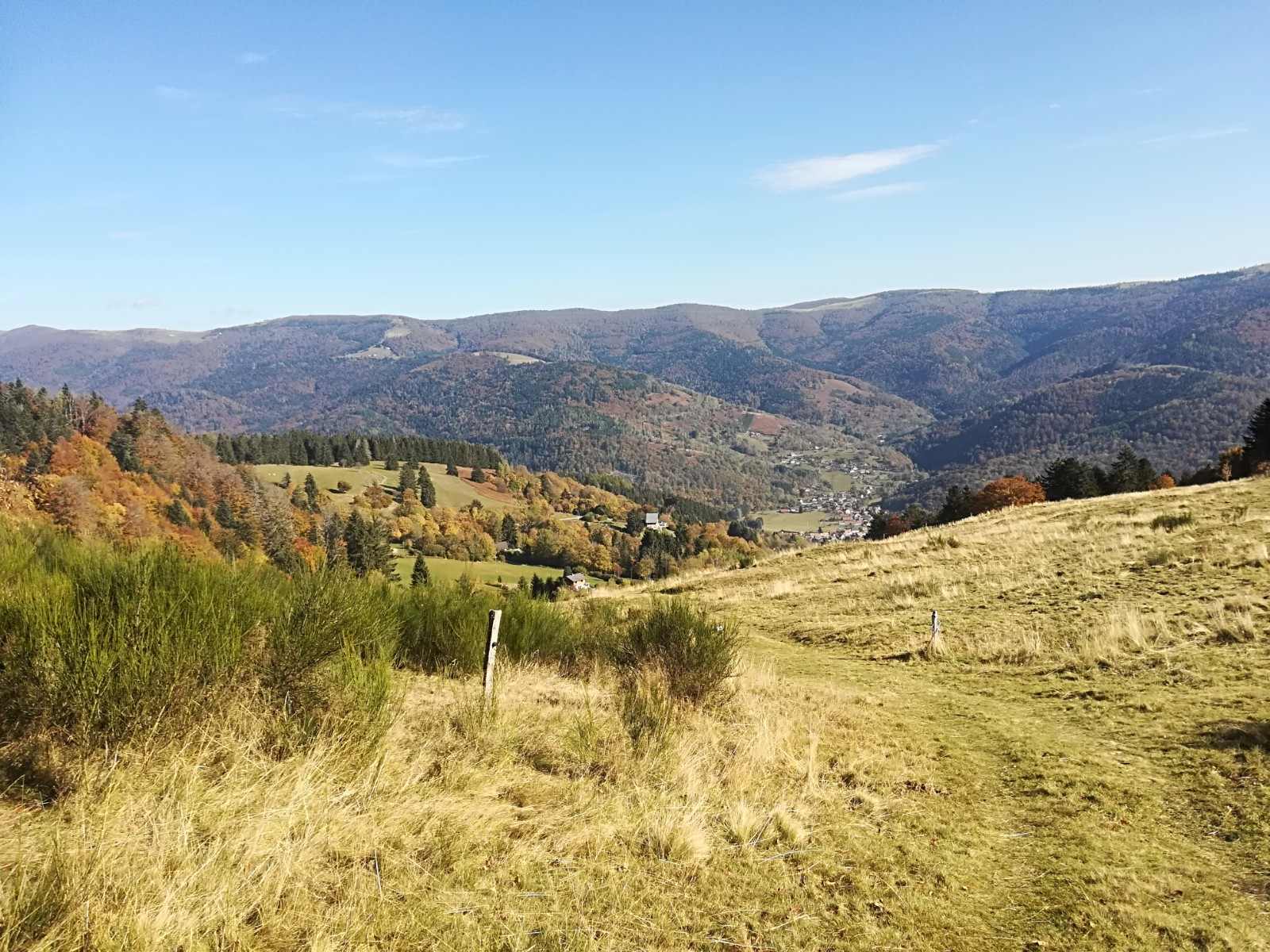 Arrivée sur les chaumes du Felsachkopf