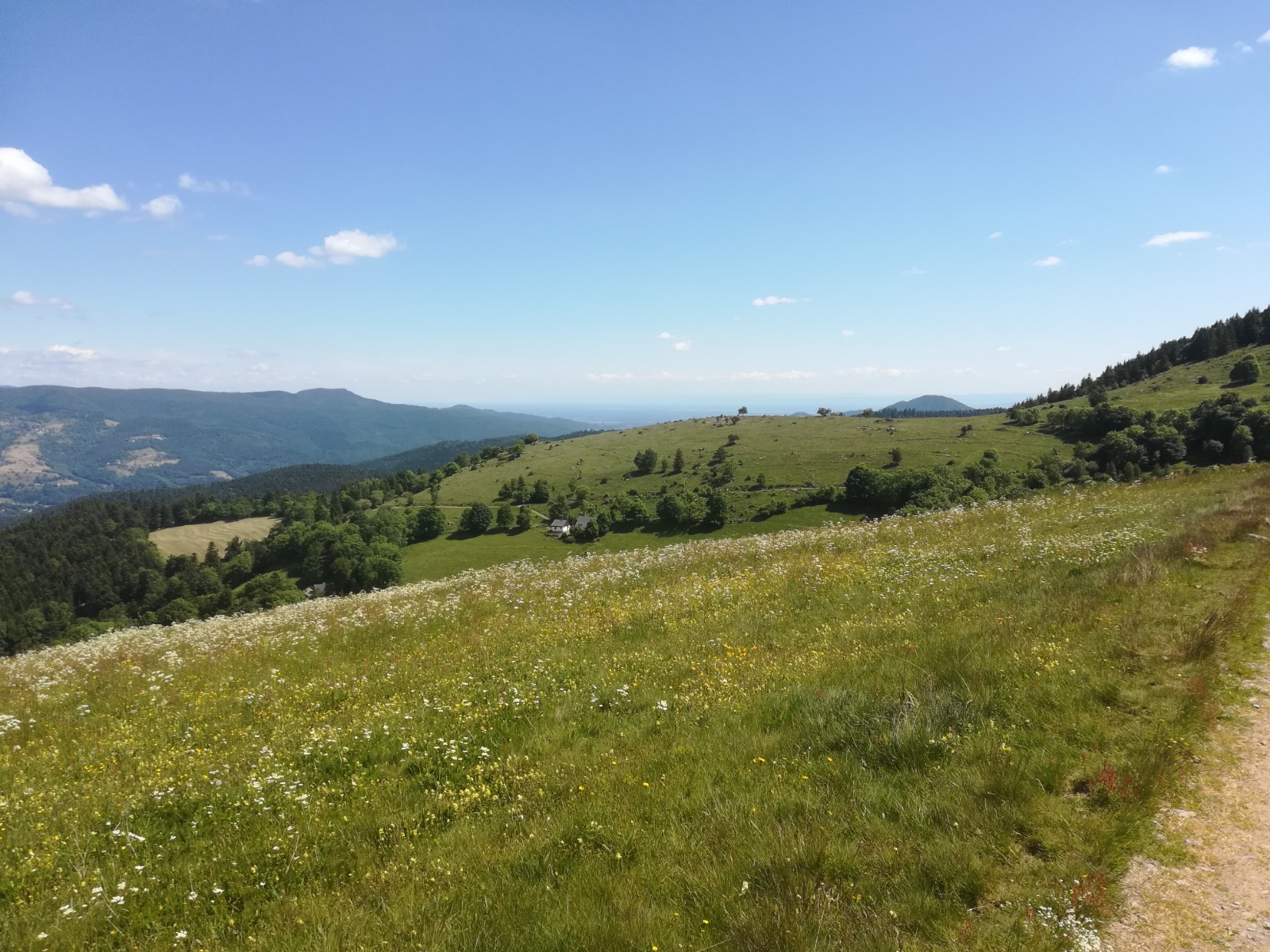 Les chaumes du Groth