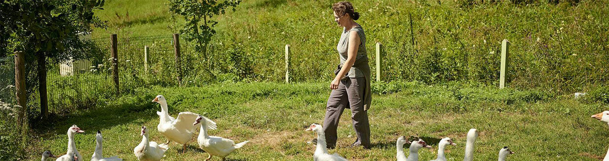 Newsletter : ferme auberge du Charapont